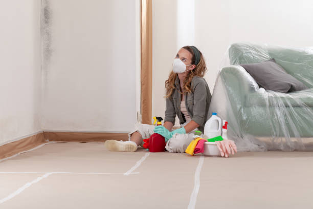 Reliable Mold Cleanup contractor in Elizabeth, NJ by Cheap Mold Removal